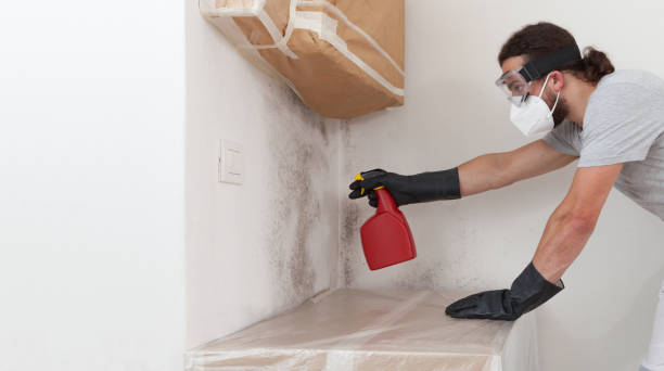 Professional Bathroom Mold Removal technician working in Roosevelt, NY